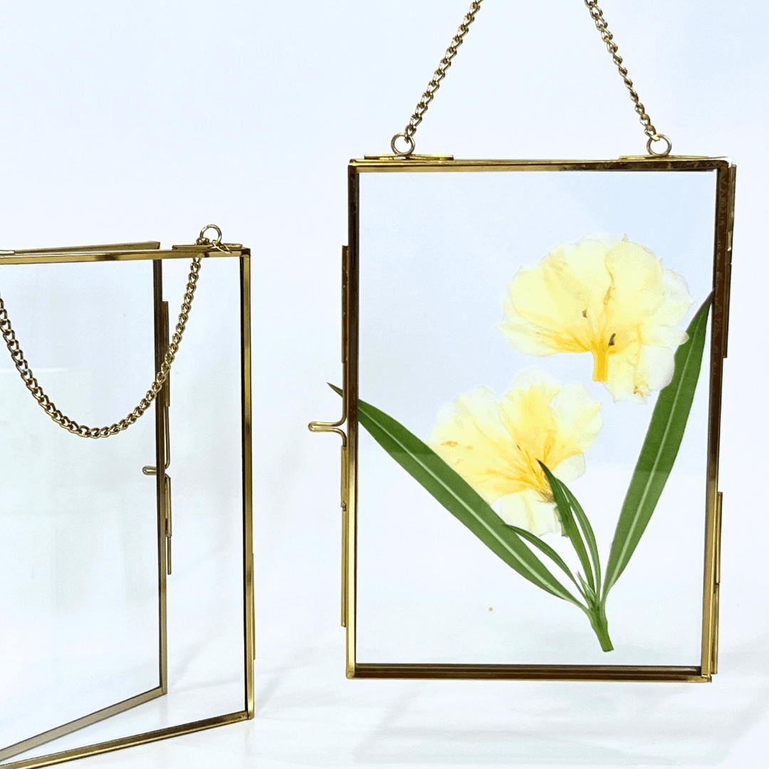 Paintable glass photo frame with Fevicryl glass paints included